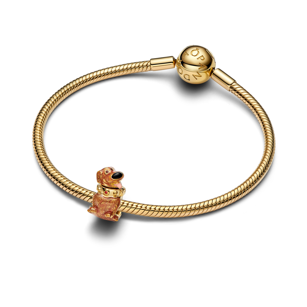 Disney Pixari „Üles“ amulett „Dug“