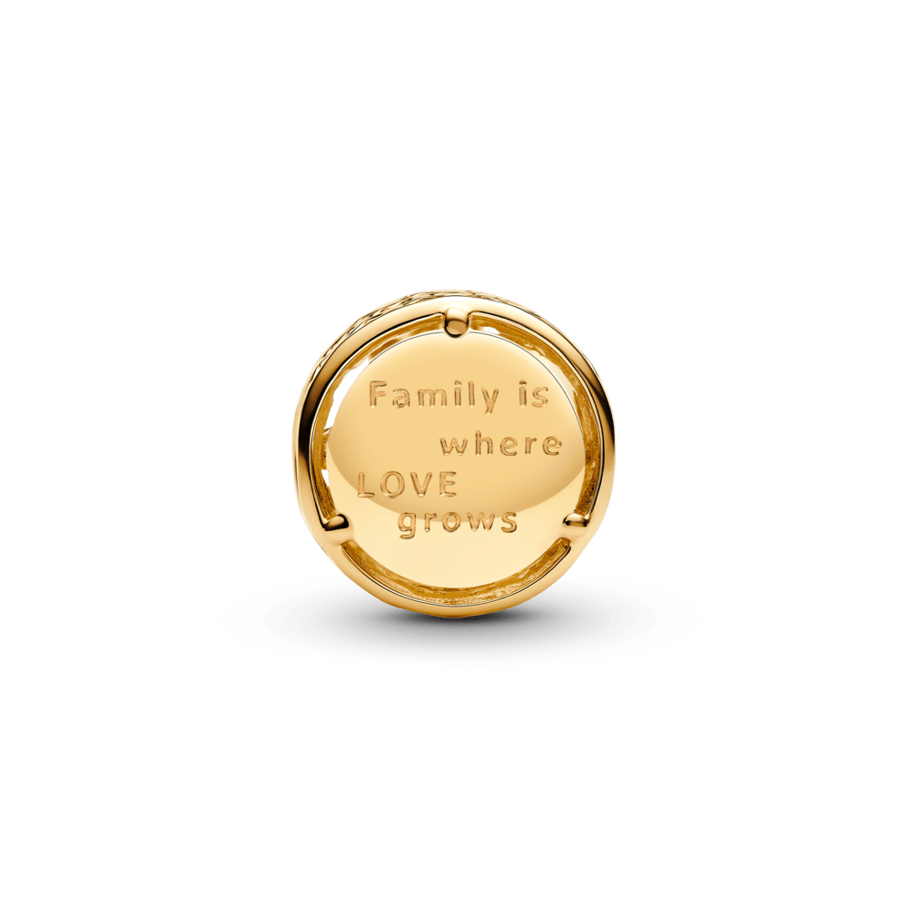 Pitsiline amulett „Perekonna juured“