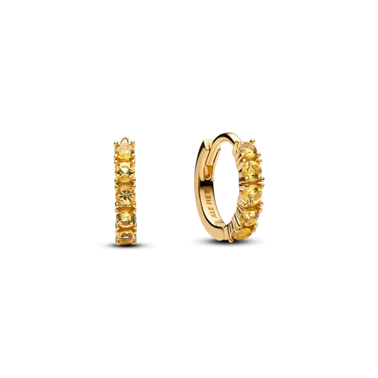 Geltoni priglundantys auskarai - Pandora Lietuva