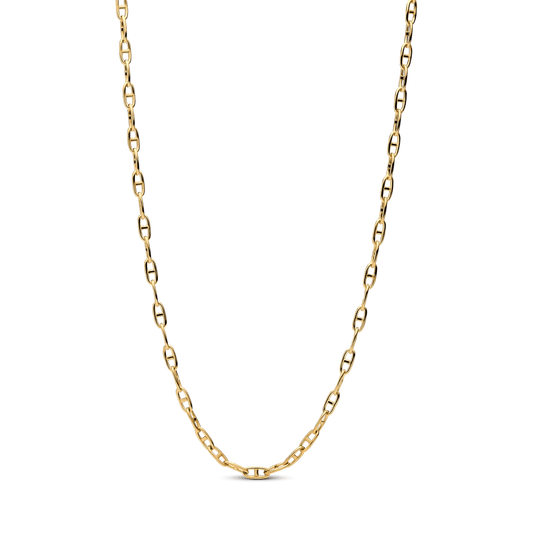 Inkaro pynimo grandinėlė - Pandora Lietuva