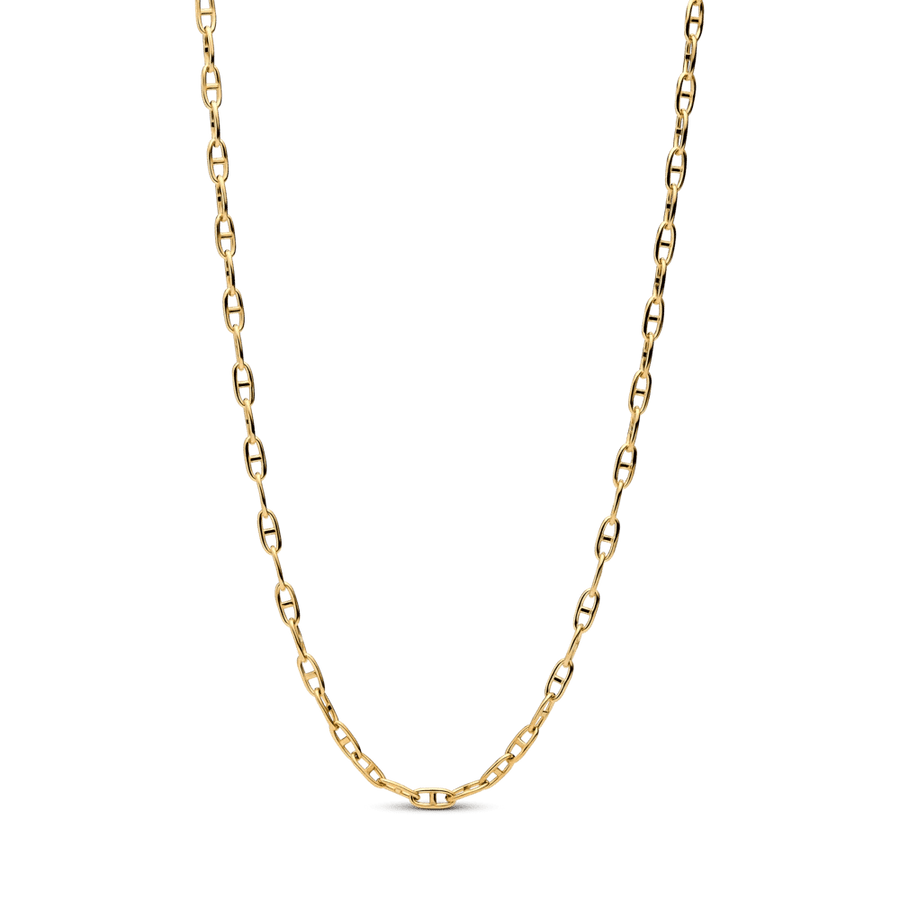 Inkaro pynimo grandinėlė - Pandora Lietuva