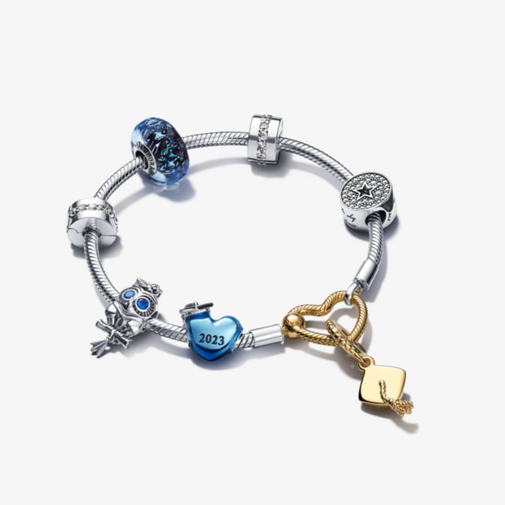 Išmintingosios pelėdos mokyklos baigimo karoliukas - Pandora Lietuva