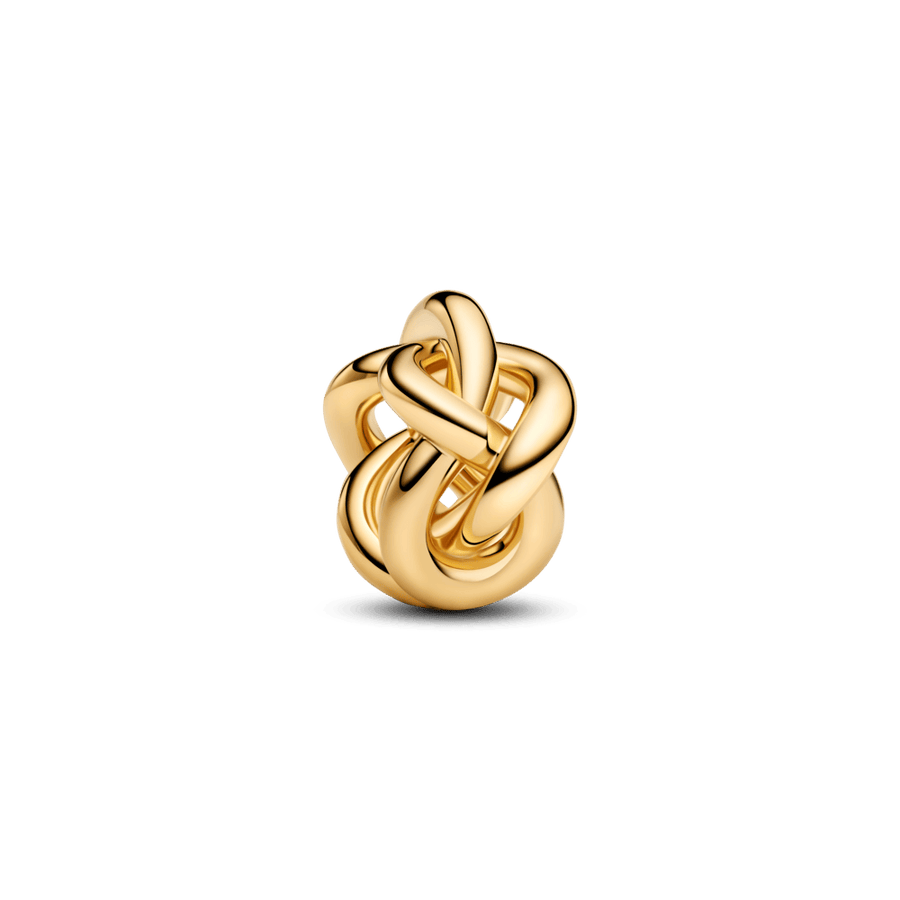 Karoliukas „Begalybės mazgas“ - Pandora Lietuva