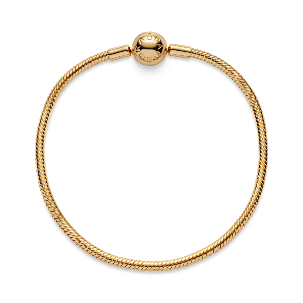 Lygi apyrankė „Akimirkos“ - Pandora Lietuva