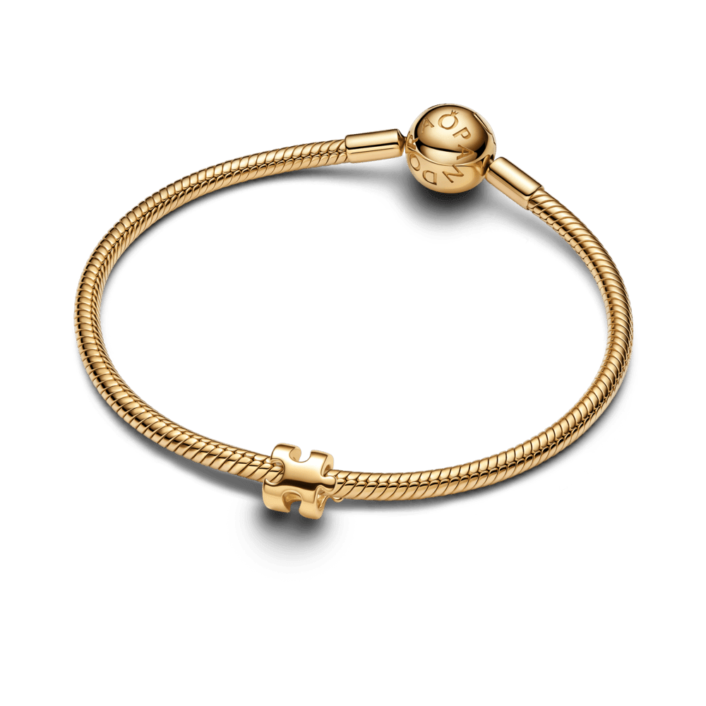 Mini karoliukas „Dėlionės gabalėlis“ - Pandora Lietuva