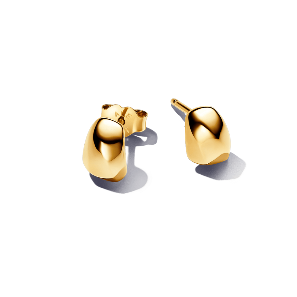 Organiškos formos auskarai - Pandora Lietuva