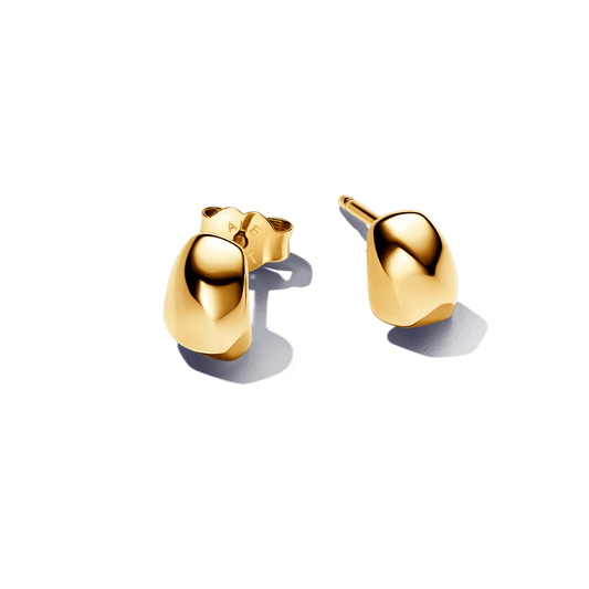 Organiškos formos auskarai - Pandora Lietuva