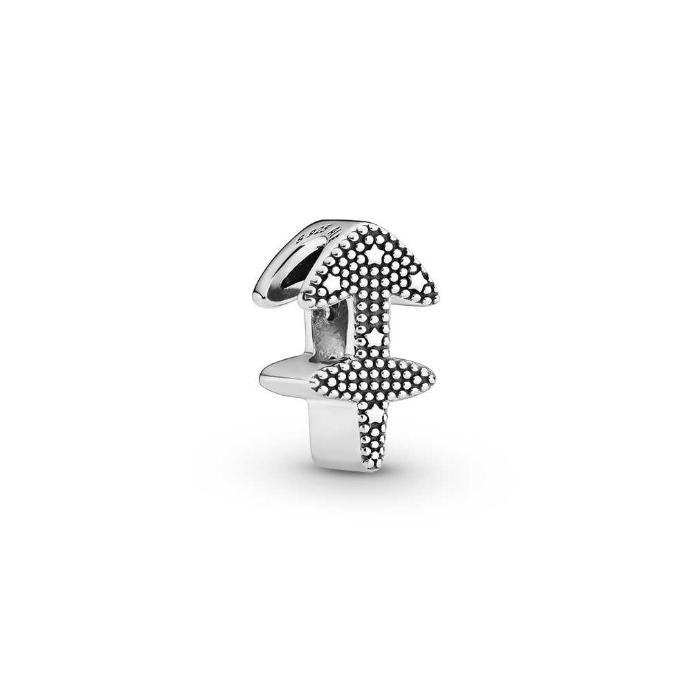 Sädelev Amburi Tähtkuju amulett
