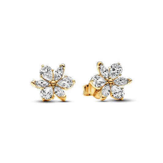 Spindintys Įveriami Auskarai - Pandora Lietuva