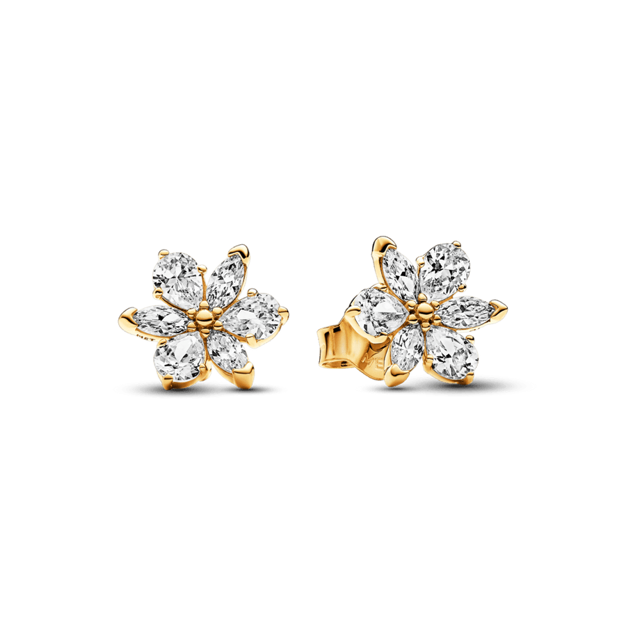 Spindintys Įveriami Auskarai - Pandora Lietuva