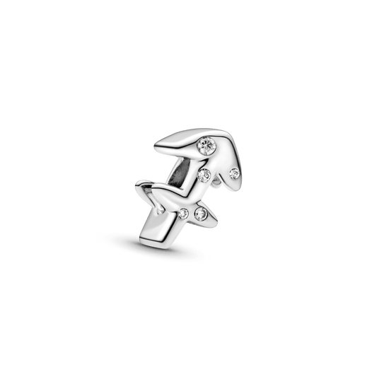 Spinduliuojantis Zodiakas - Šaulys - Pandora Lietuva