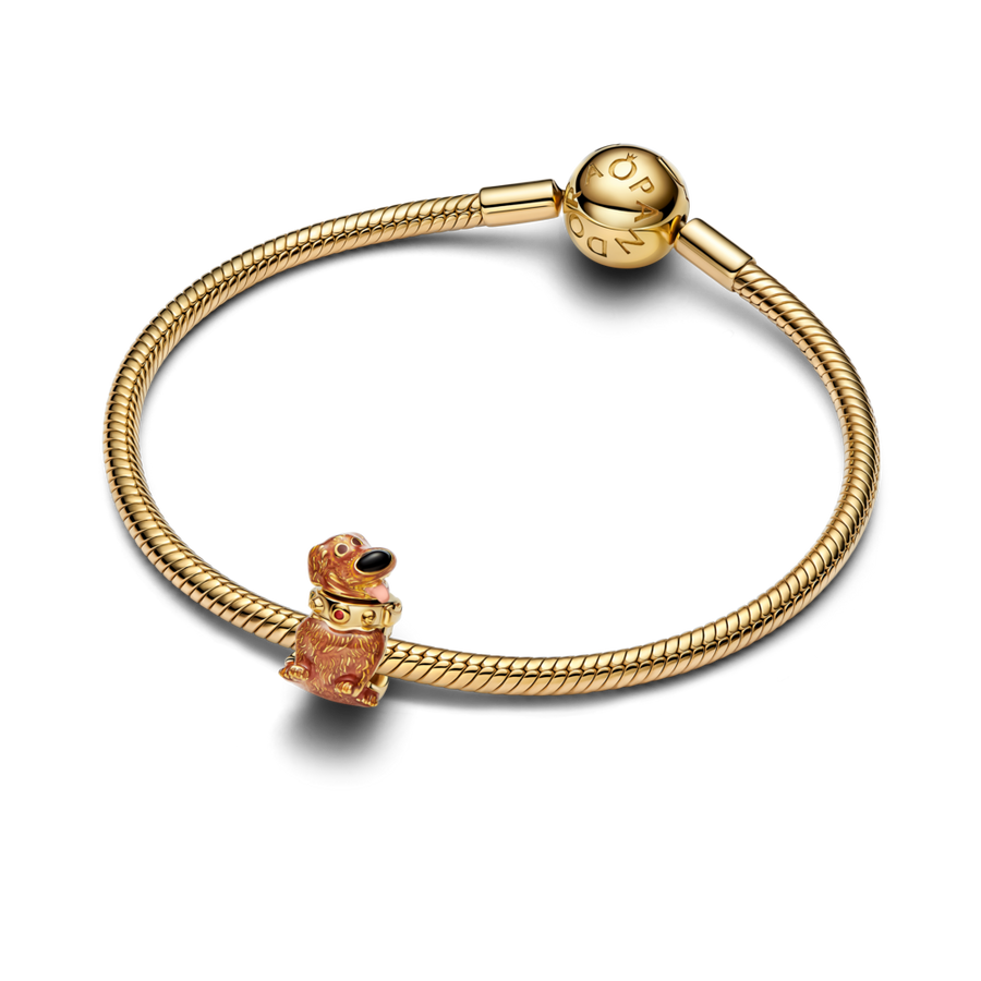 Disney Pixari „Üles“ amulett „Dug“