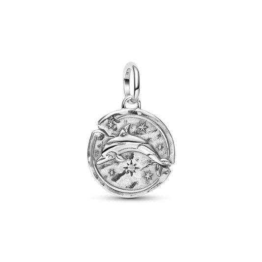Medaljon-amulett „Delfiin“