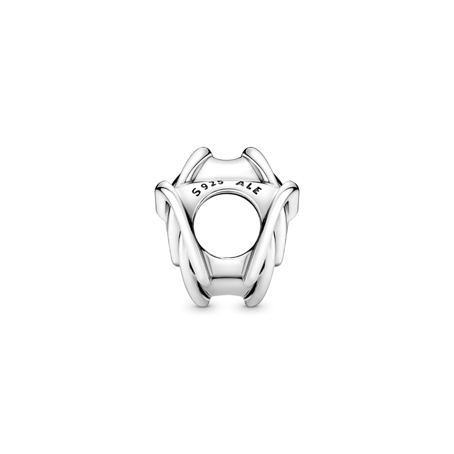 Ümbritsetud amulett „Perekond alati“
