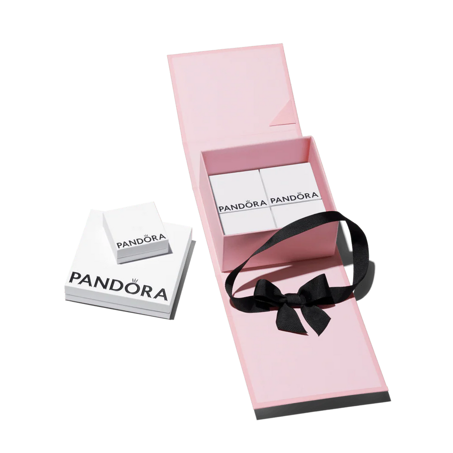Aukščiausios kokybės rožinė dovanų dėžutė - Pandora Lietuva