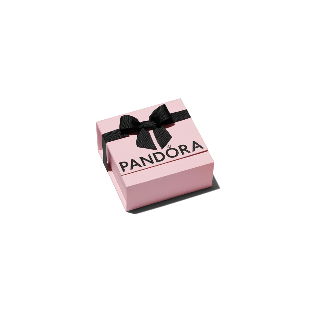 Aukščiausios kokybės rožinė dovanų dėžutė - Pandora Lietuva