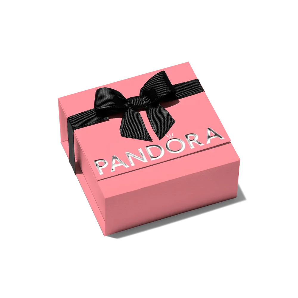 Aukščiausios kokybės rožinė dovanų dėžutė - Pandora Lietuva
