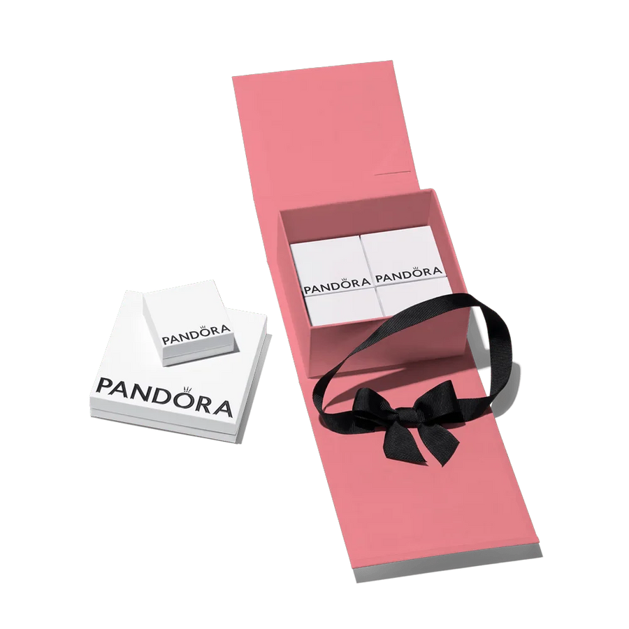 Aukščiausios kokybės rožinė dovanų dėžutė - Pandora Lietuva