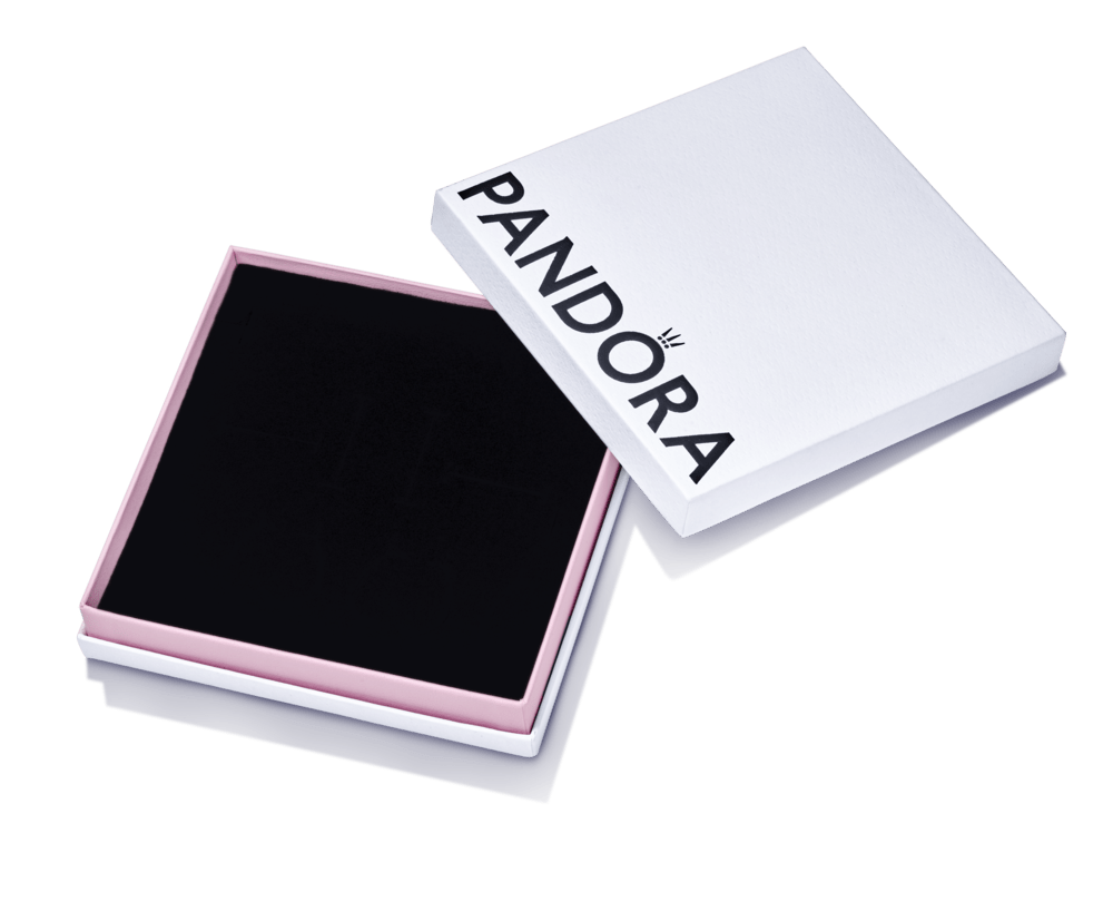 Didelė papuošalų dėžutė - Pandora Lietuva