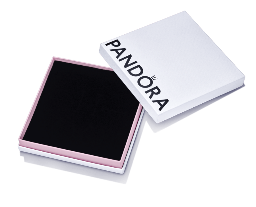 Didelė papuošalų dėžutė - Pandora Lietuva