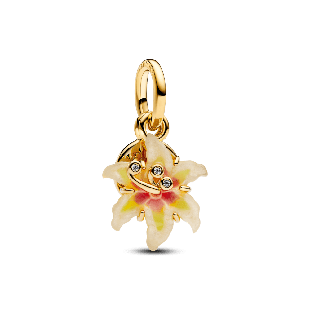 Ehtekomplekt „Follow your own light“