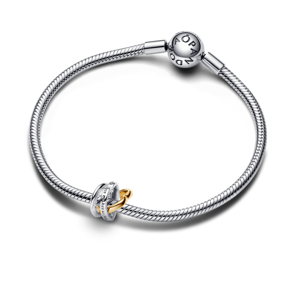 Dviejų atspalvių karoliukas „Susipynusios širdys pamotei“ - Pandora Lietuva