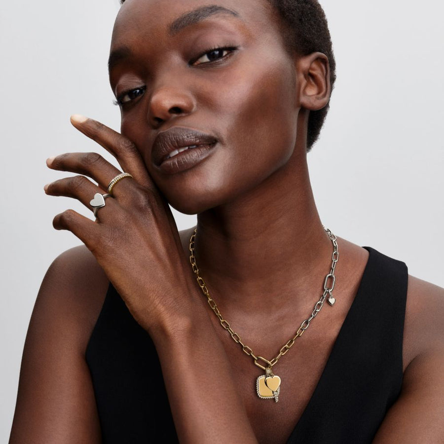 Dviejų atspalvių pailgintų grandžių grandinėlė - Pandora Lietuva