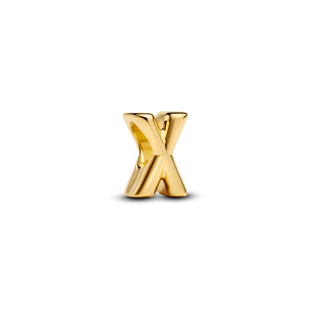 Karoliukas „Raidė X“ - Pandora Lietuva