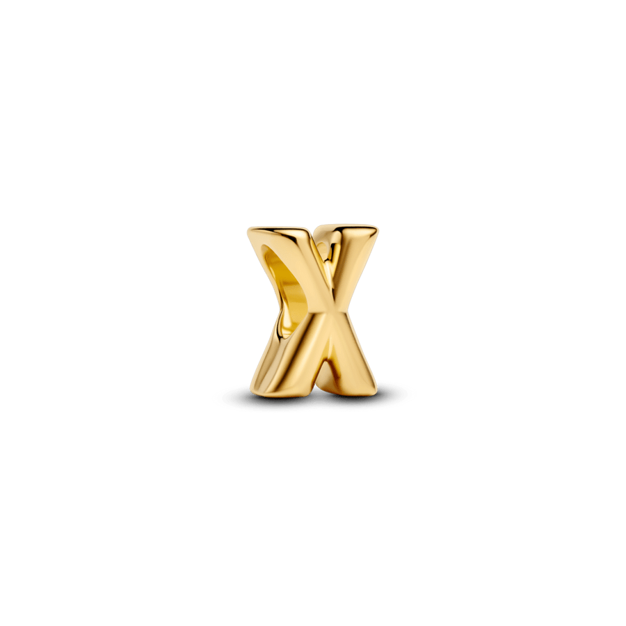 Karoliukas „Raidė X“ - Pandora Lietuva