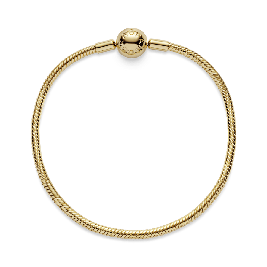 Lygi apyrankė „Akimirkos“ - Pandora LT