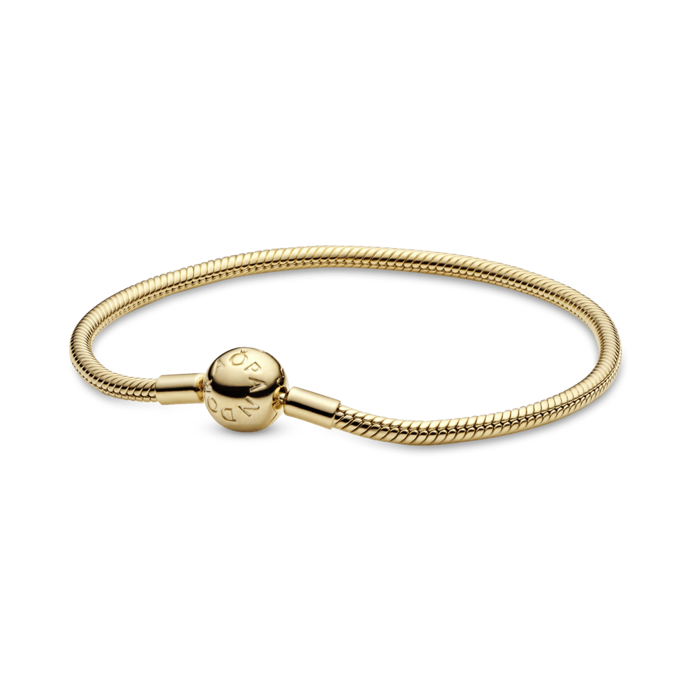 Lygi apyrankė „Akimirkos“ - Pandora LT