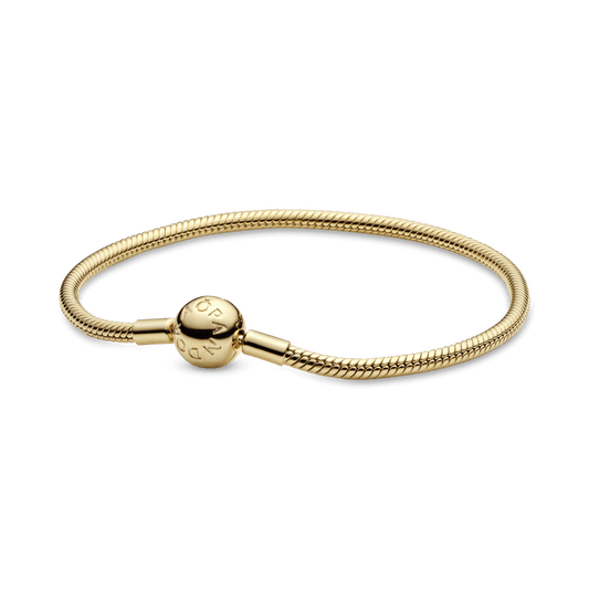 Lygi apyrankė „Akimirkos“ - Pandora LT