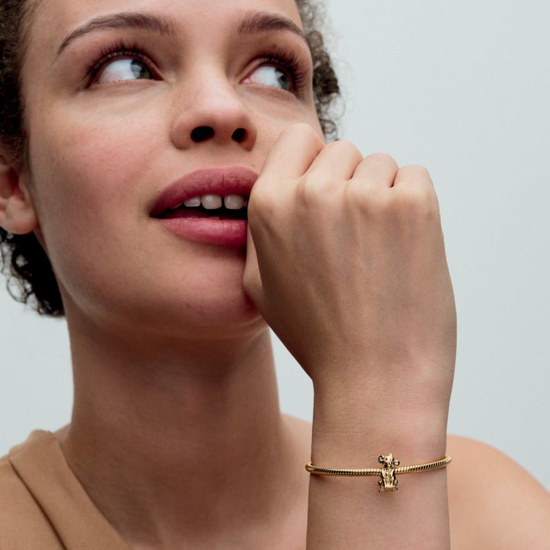 Lygi apyrankė „Akimirkos“ - Pandora Lietuva