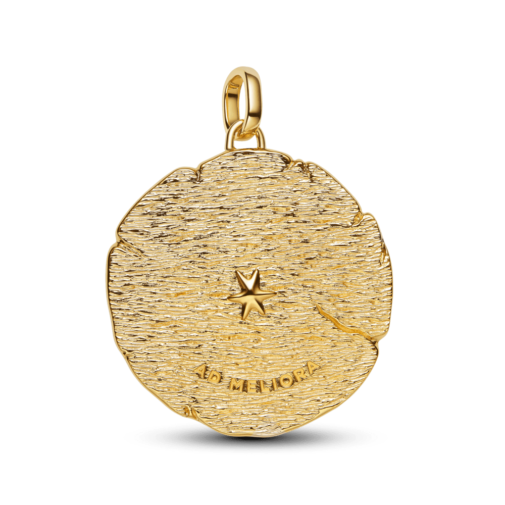 Suur medaljoniga amulett „Ristuvad nooled“