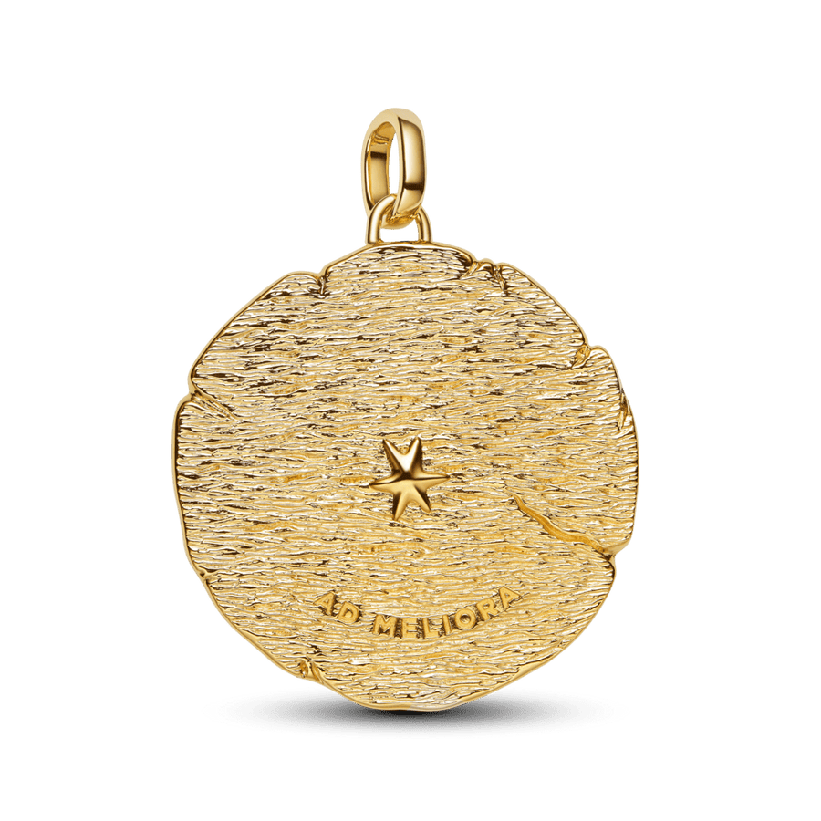 Suur medaljoniga amulett „Ristuvad nooled“