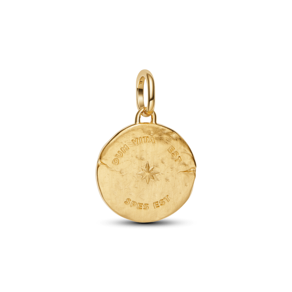 Medaljoniga amulett „Pääsuke“