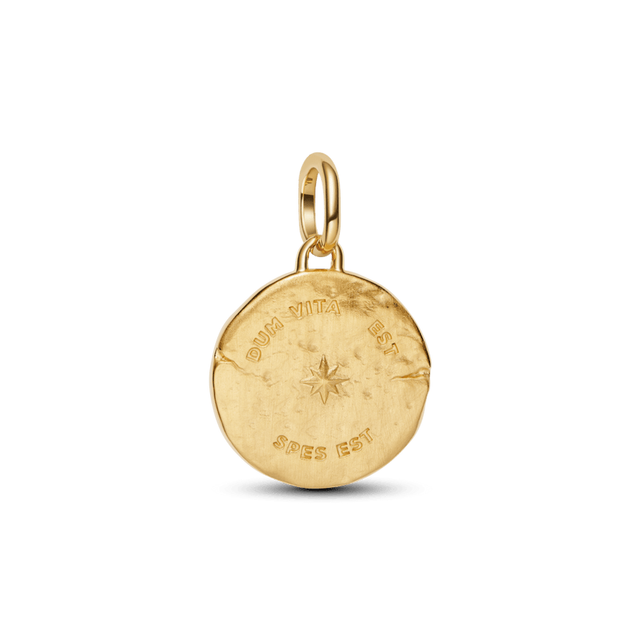 Medaljoniga amulett „Pääsuke“