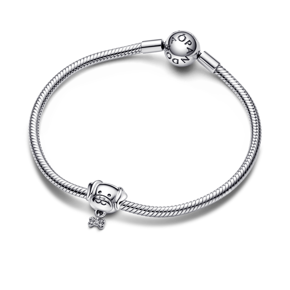 Pet Dog & Bone Charm pakabukas - Pandora Lietuva