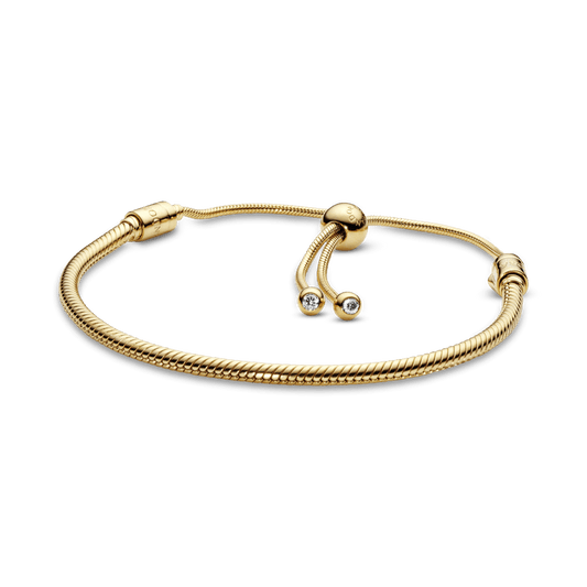 Slankioji apyrankė „Moments“ - Pandora LT