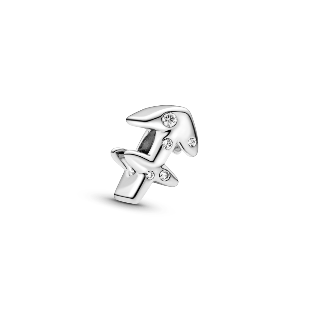 Sädelev Amburi Tähtkuju amulett