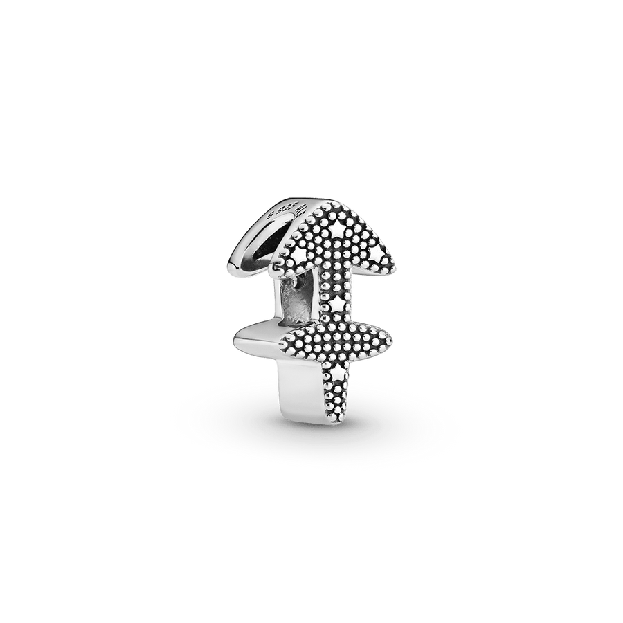 Sädelev Amburi Tähtkuju amulett