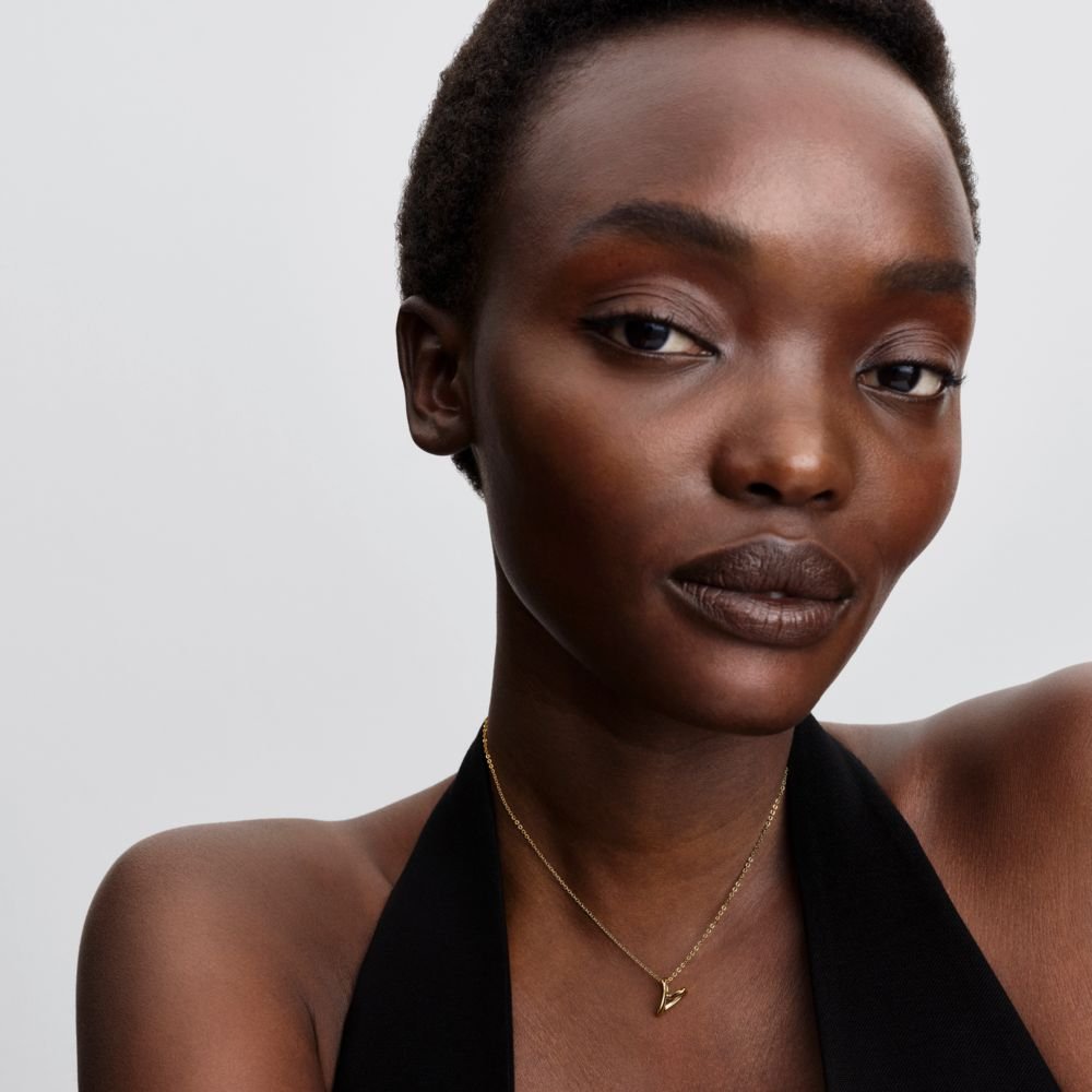 Vėrinys su mažu organiškos formos širdies pakabučiu - Pandora Lietuva