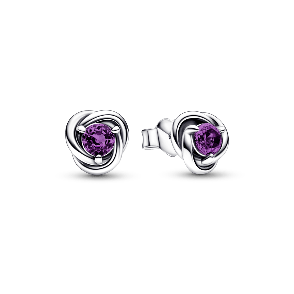 Purple Eternity Circle Stud Earrings auskarai - Pandora LT